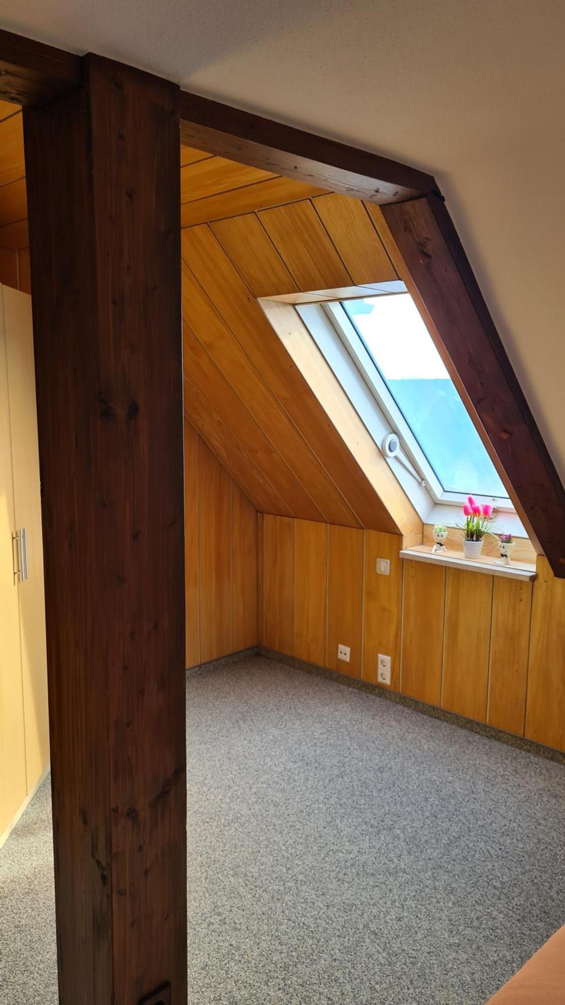 Schwabenstuben Apartment Meersburg Buitenkant foto