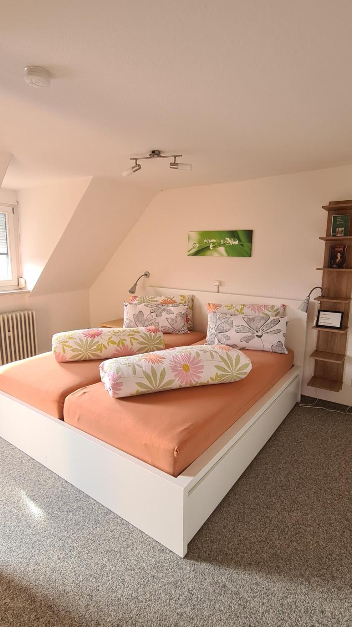 Schwabenstuben Apartment Meersburg Buitenkant foto